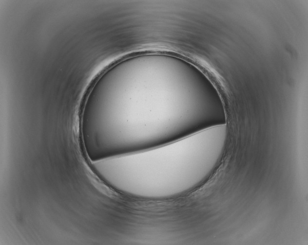 X0000112741372200908201025