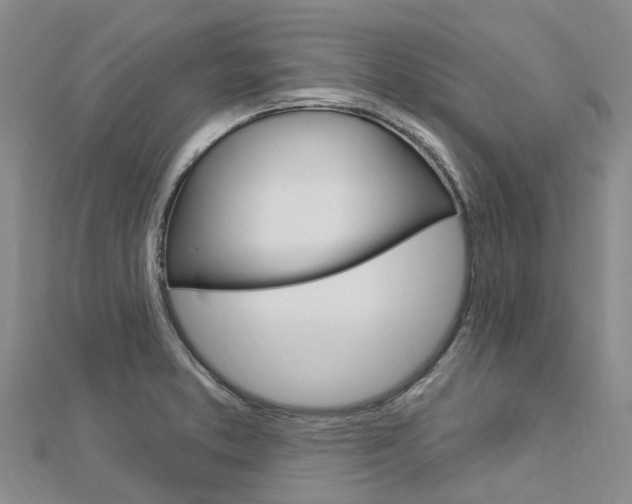 X0000112741373200908201025