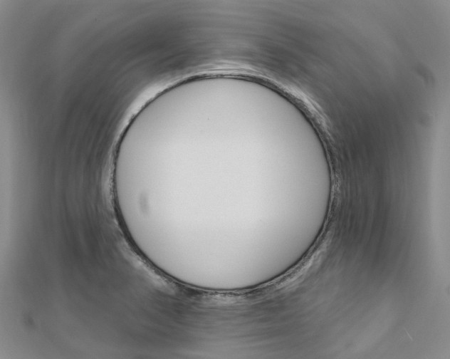 X0000112741374200908201025