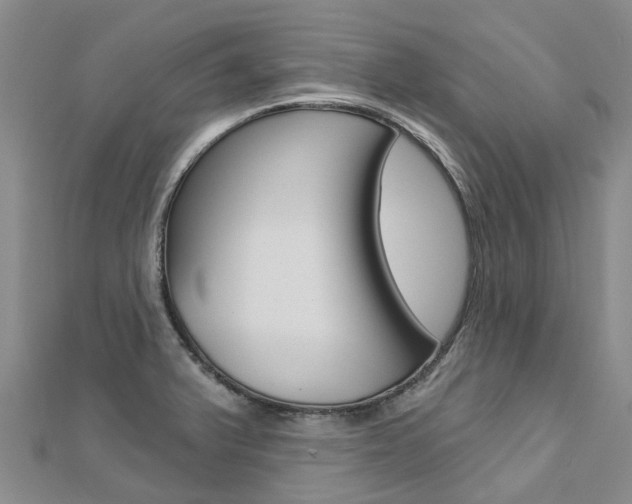 X0000112741375200908201025