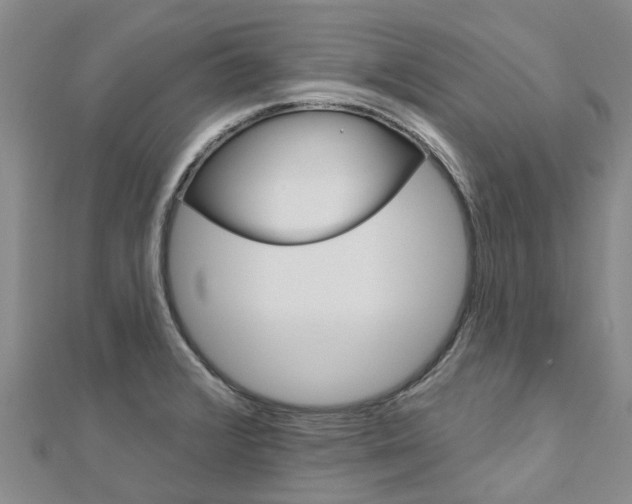 X0000112741376200908201025