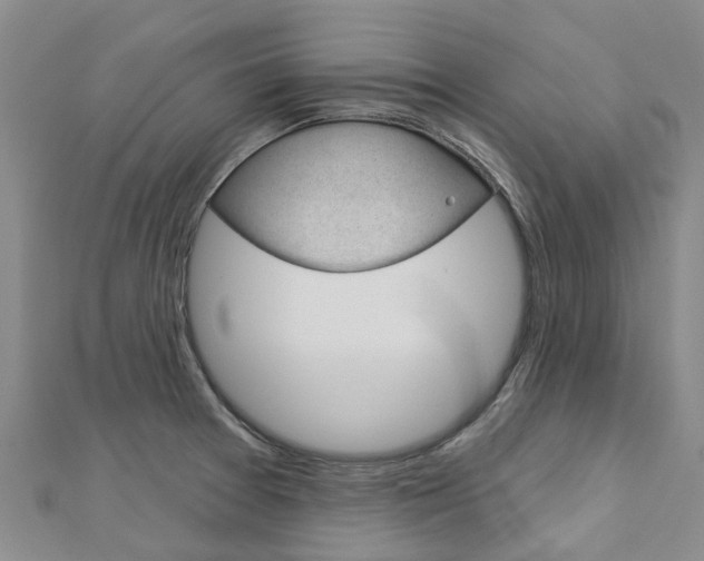 X0000112741377200908201025