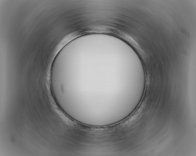 X0000112741378200908201025