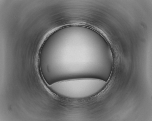 X0000112741379200908201025