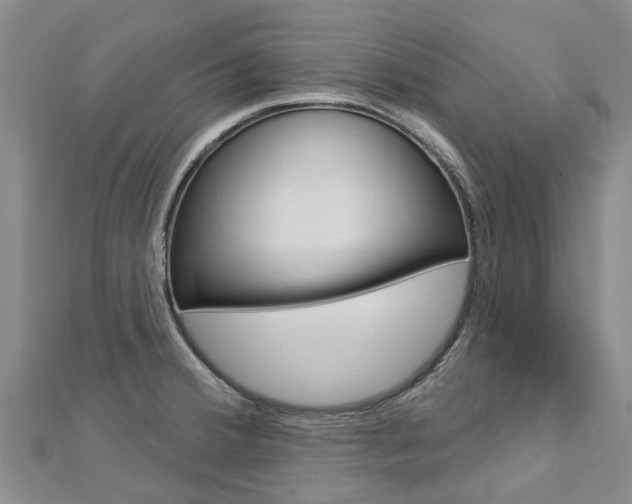 X0000112741380200908201025