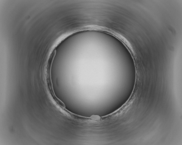 X0000112741381200908201025