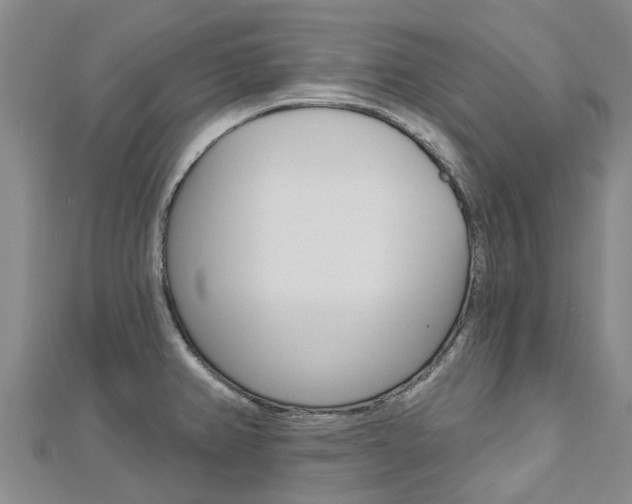 X0000112741382200908201025