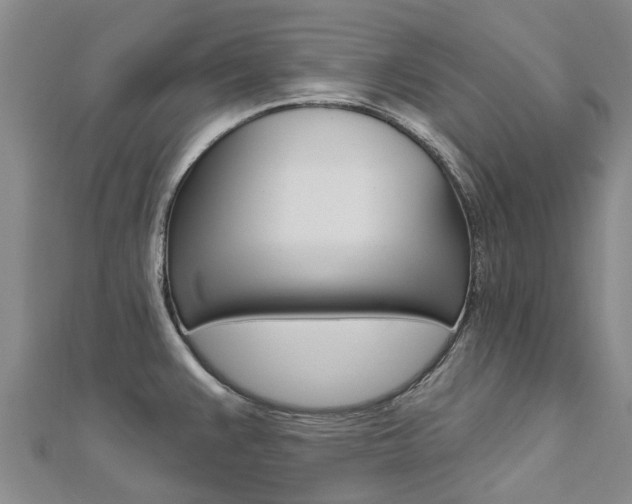 X0000112741383200908201025