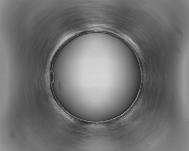 X0000112741384200908201025