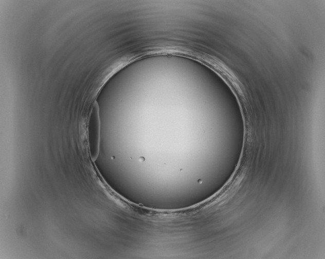 X0000112741385200908201025
