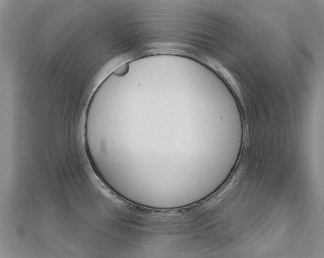 X0000112741386200908201025