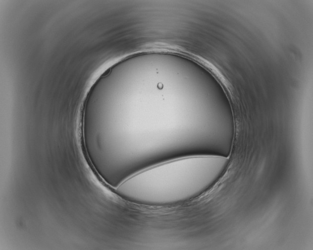 X0000112741387200908201025