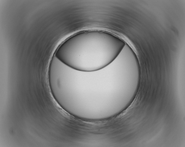 X0000112741388200908201025