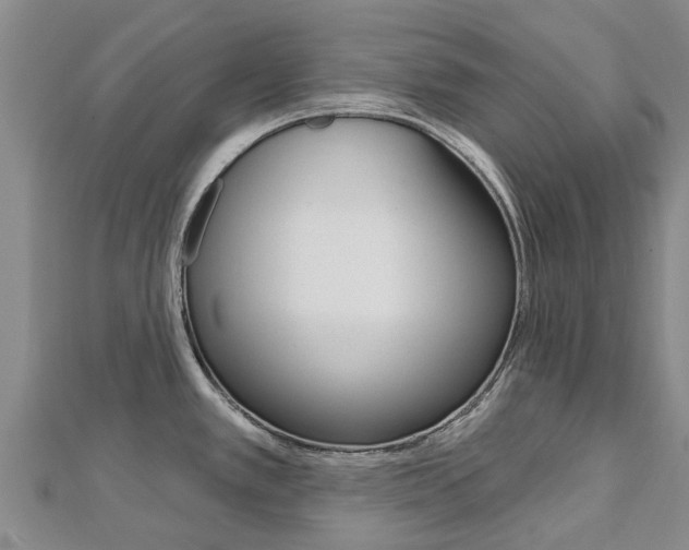 X0000112741389200908201025