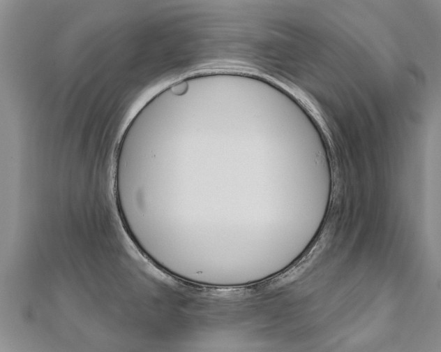 X0000112741390200908201025
