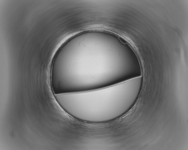X0000112741392200908201025