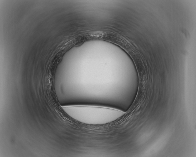 X0000112741394200908201025