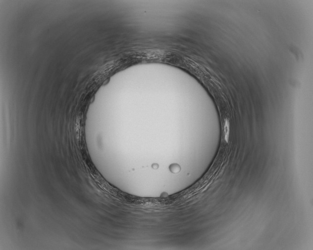 X0000112741395200908201025