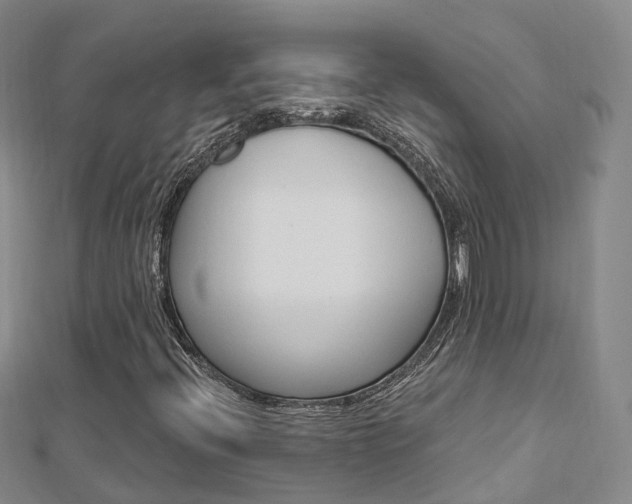 X0000112741396200908201025