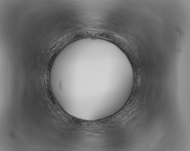 X0000112741397200908201025