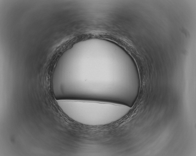 X0000112741398200908201025