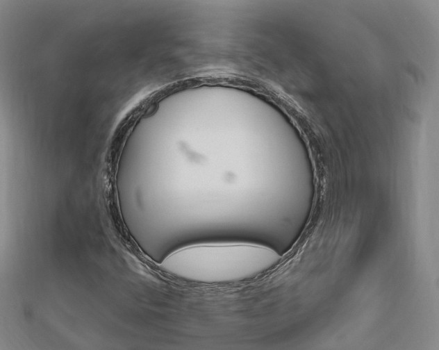 X0000112741400200908201025
