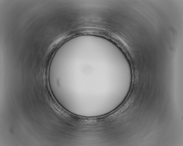 X0000112741403200908201025
