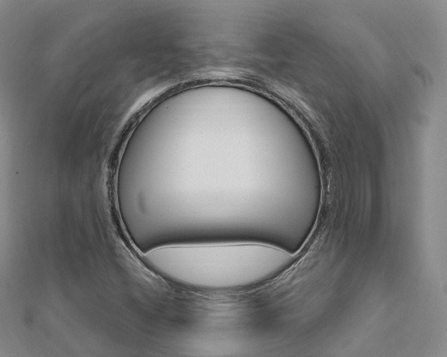 X0000112741404200908201025