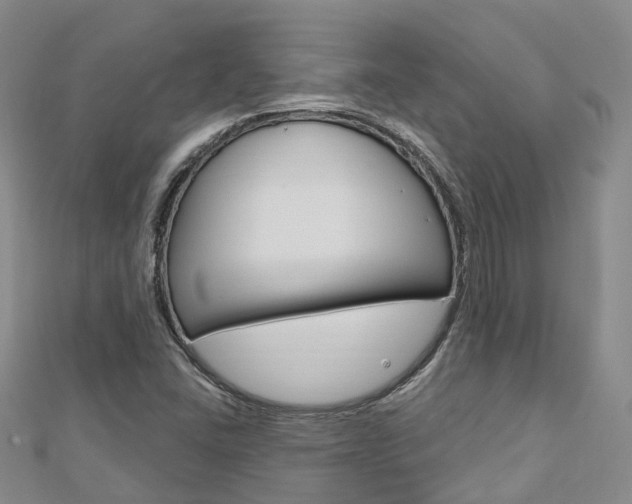 X0000112741406200908201025