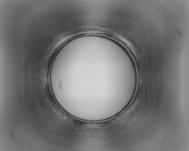 X0000112741407200908201025