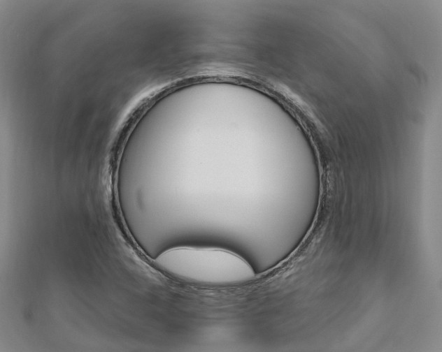 X0000112741408200908201025