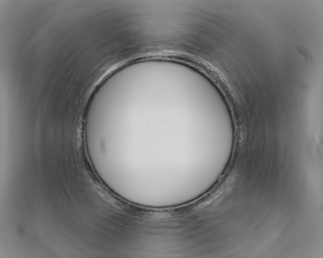 X0000112741409200908201025