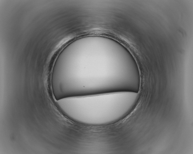 X0000112741410200908201025