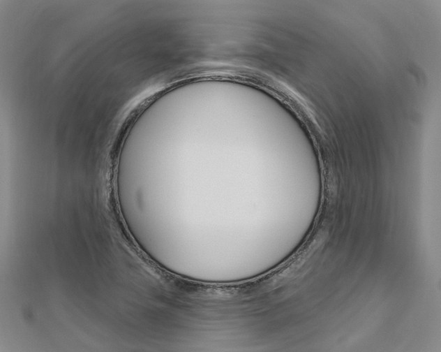 X0000112741411200908201025