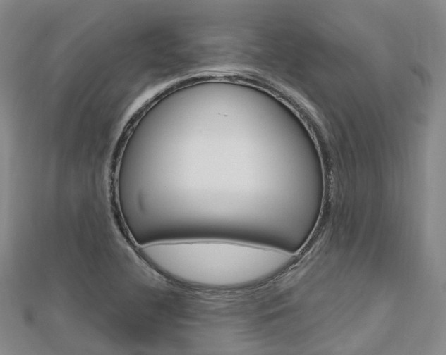 X0000112741412200908201025