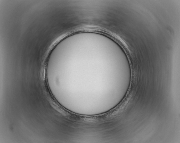 X0000112741413200908201025