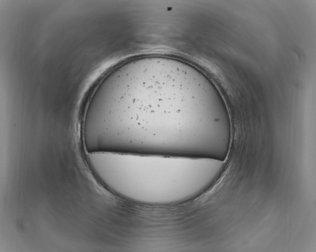 X0000112741414200908201025