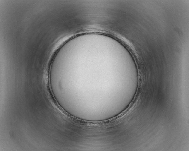 X0000112741415200908201025