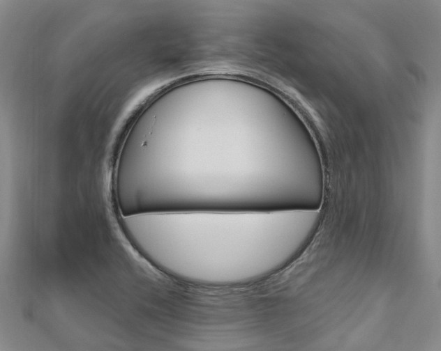 X0000112741416200908201025