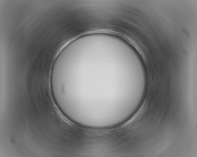 X0000112741417200908201025