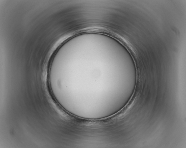 X0000112741418200908201025