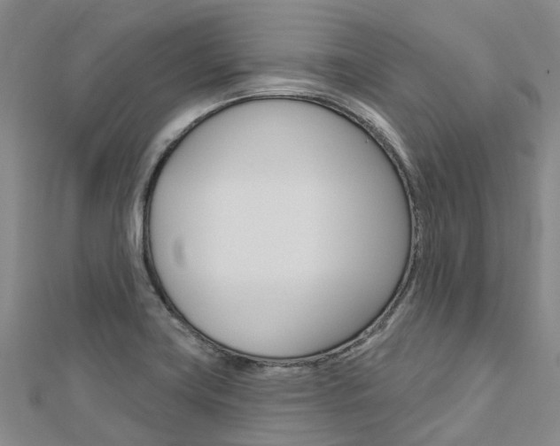 X0000112741419200908201025