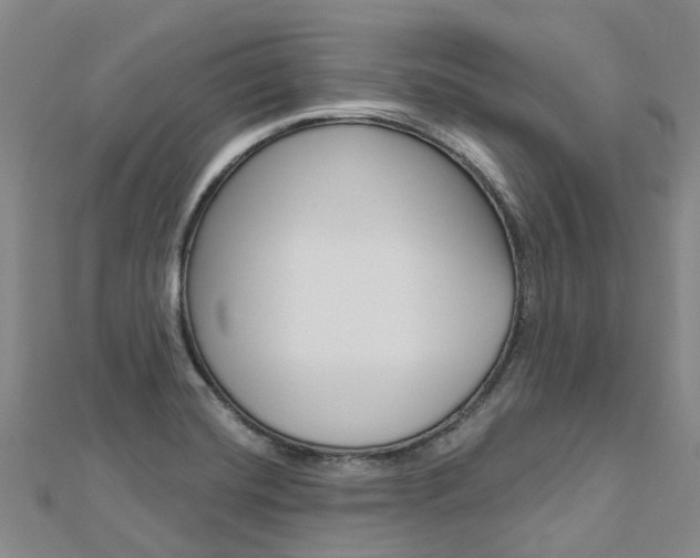 X0000112741420200908201025