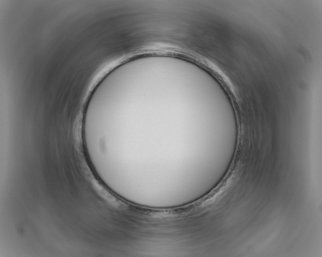 X0000112741421200908201025