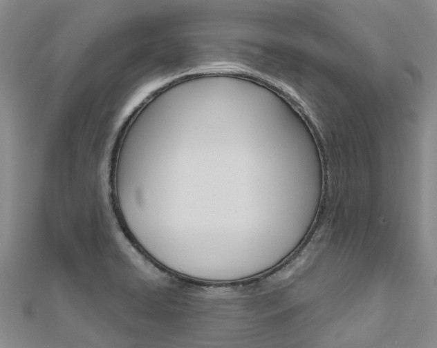 X0000112741422200908201025