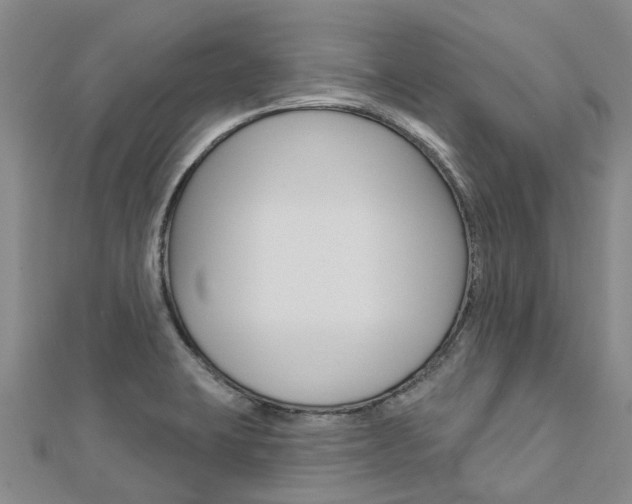 X0000112741423200908201025