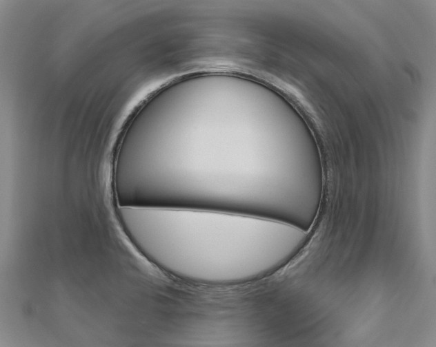 X0000112741424200908201025