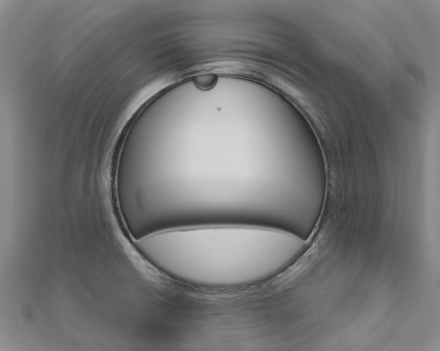 X0000112741426200908201025