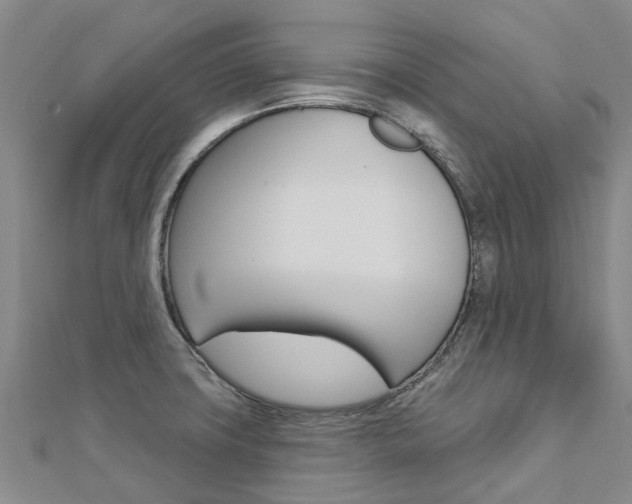 X0000112741427200908201025
