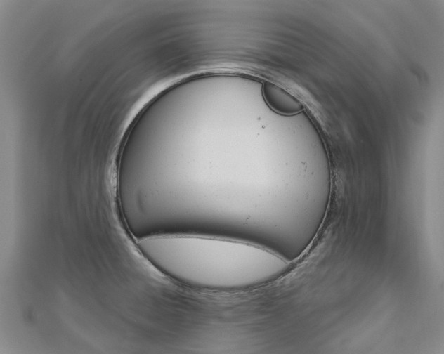 X0000112741428200908201025